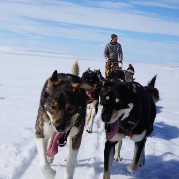 Explore Norwegen: Arctic Roadtrip zum Nordkap