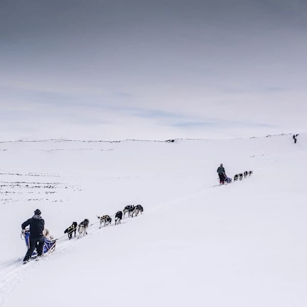 Explore Norwegen: Arctic Roadtrip zum Nordkap